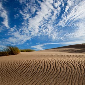 Dunes Center