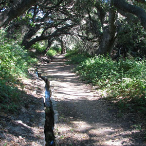 Historical State Park